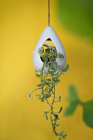 Ivory Petal Hanging Planter Pot