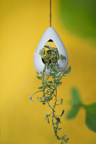 Ivory Petal  Hanging Planter Pot